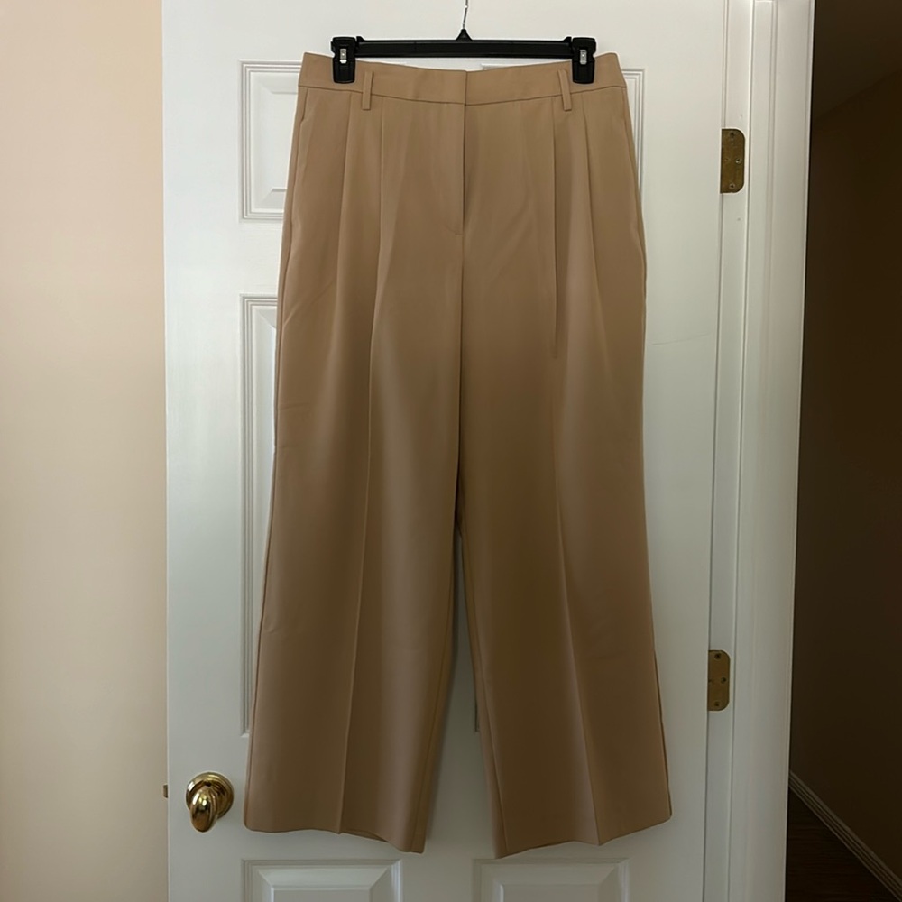 Ann Taylor wide-leg dress pants with front pleats - 12P